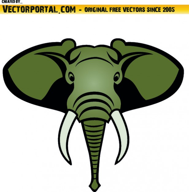 616x626 Frontal Elephant Head Vector Free Download