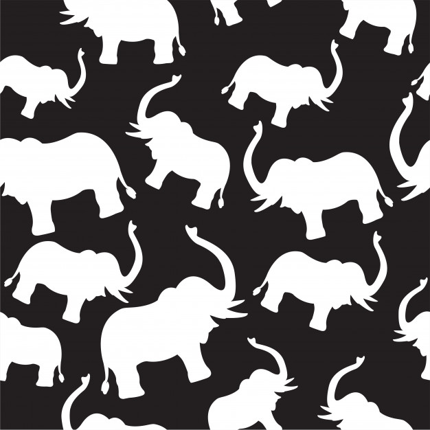 626x626 Elephant Print Pattern Vector Premium Download