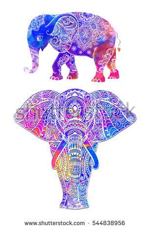 307x470 Elephant Color Illustration Vector Set. Watercolor. Print For