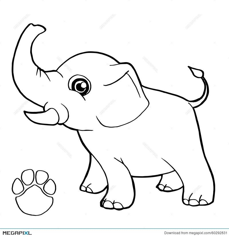 800x830 Paw Print With Elephant Coloring