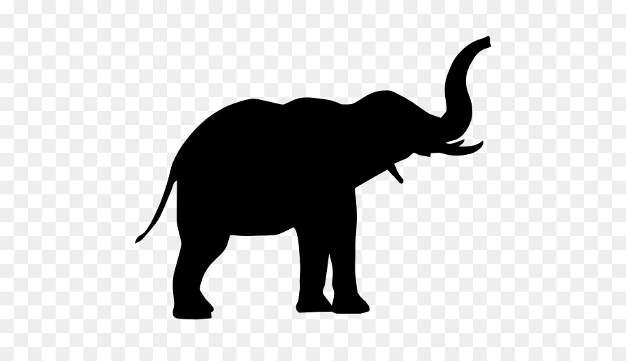 900x520 Elephant Silhouette