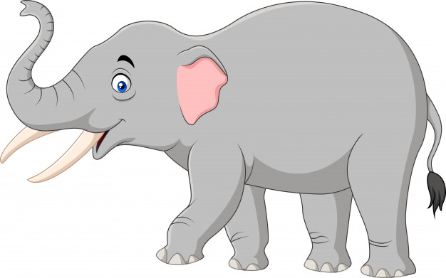 626x391 Elephant Vectors, Photos And Psd Files Free Download