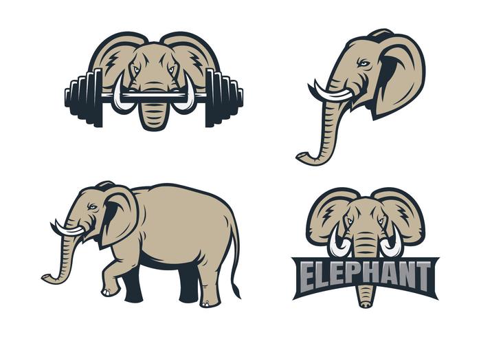700x490 Free Elephant Vector