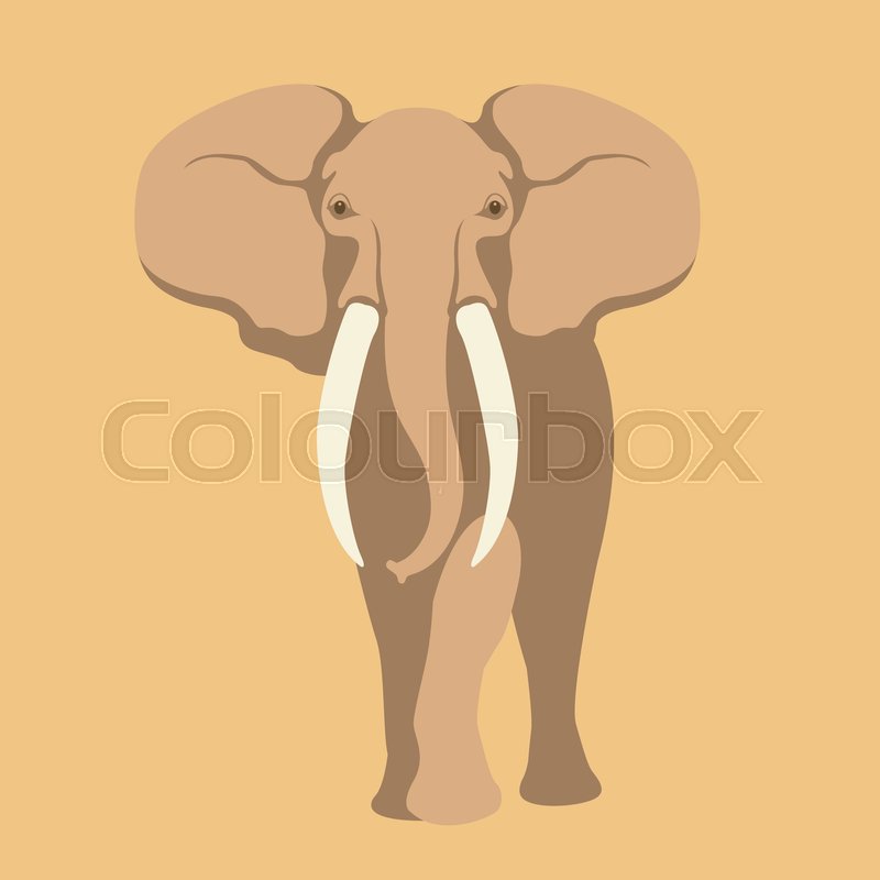 800x800 Adult Elephant Vector Illustration Style Flat Side Front Stock