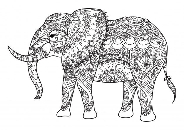 626x442 Elephant Vectors, Photos And Psd Files Free Download