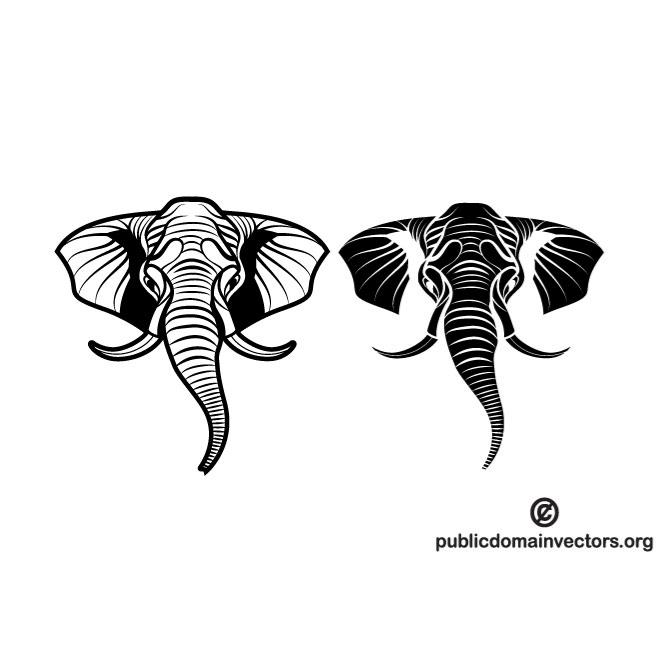 660x660 Elephants Vector Image