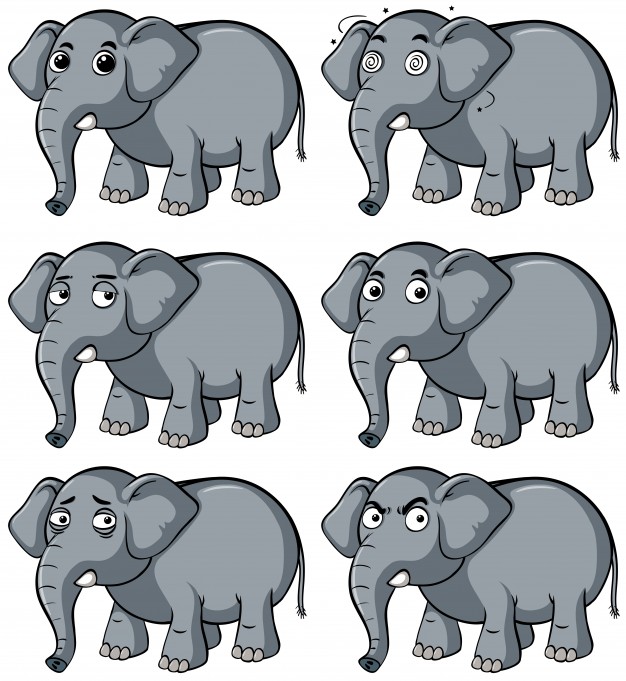 626x681 Elephant Vectors, Photos And Psd Files Free Download