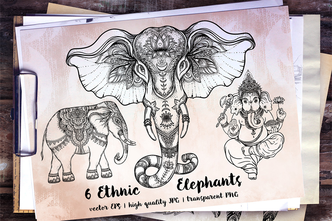1160x772 Elephant Vector Collection On Behance
