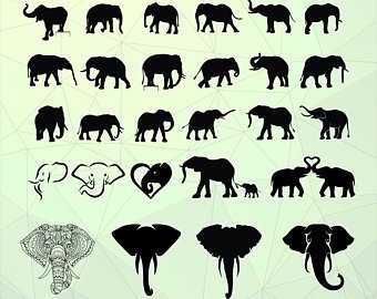 340x270 Elephant Vector Etsy