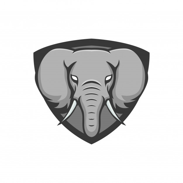 626x626 Elephant Vector Mascot Logo Head Design Illustration Emblem Vector