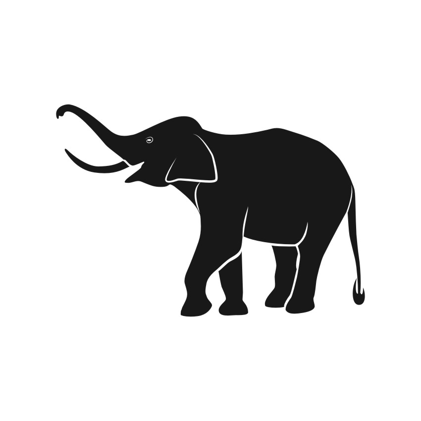 850x850 Elephants Vector Vectors, Photos, Background, Psd Files