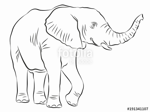 500x375 Illustration Of Elephant, Vector Drawing Stock Image And Royalty