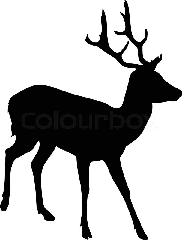 Elk Vector