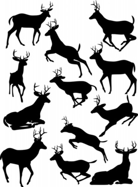 272x368 Elk Vector Free Vector Download (175 Free Vector) For Commercial