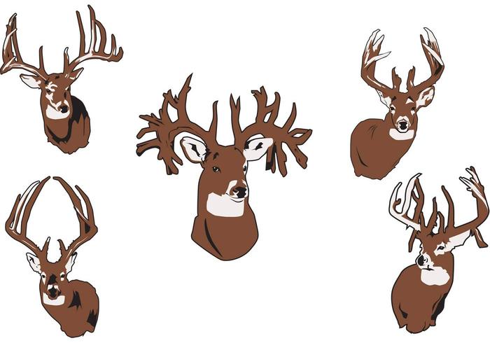 700x490 Free Elk Vector