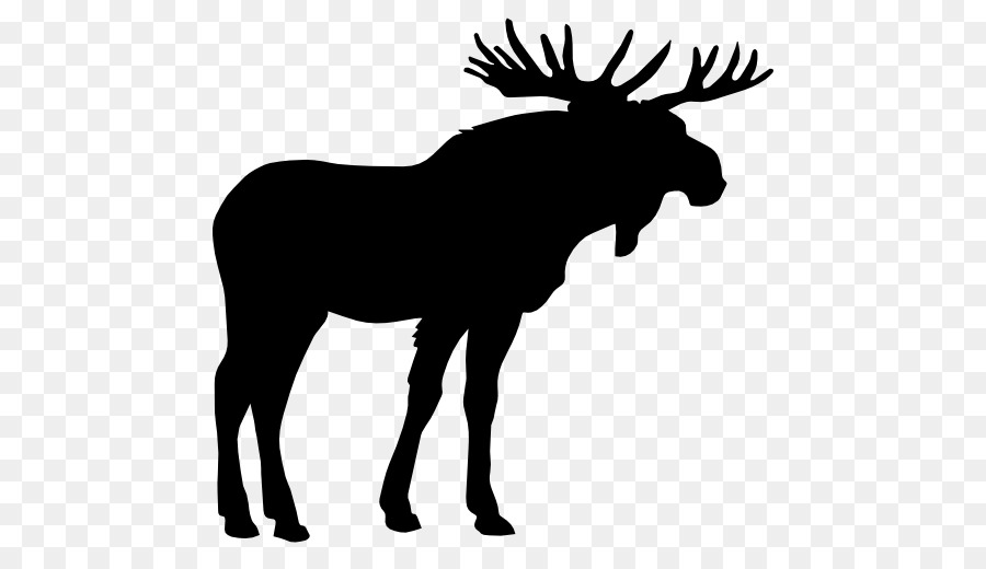 900x520 Moose Elk Deer Clip Art