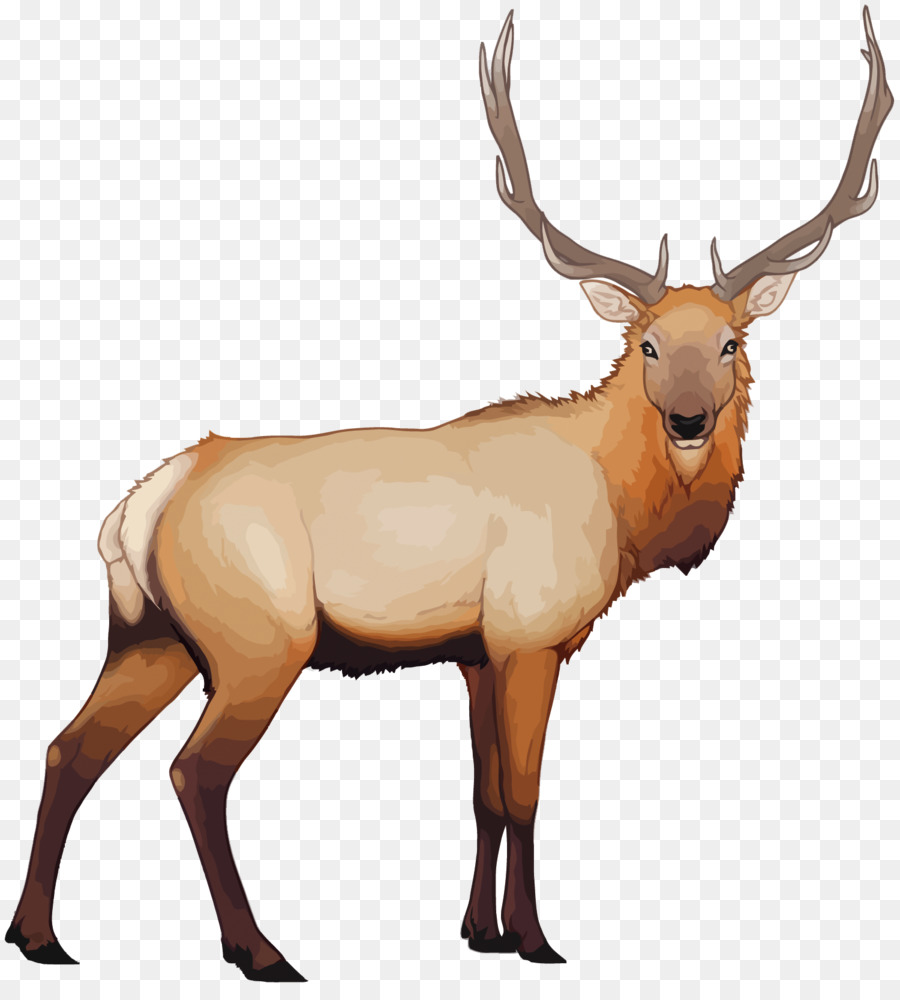 900x1000 Reindeer Elk Cartoon