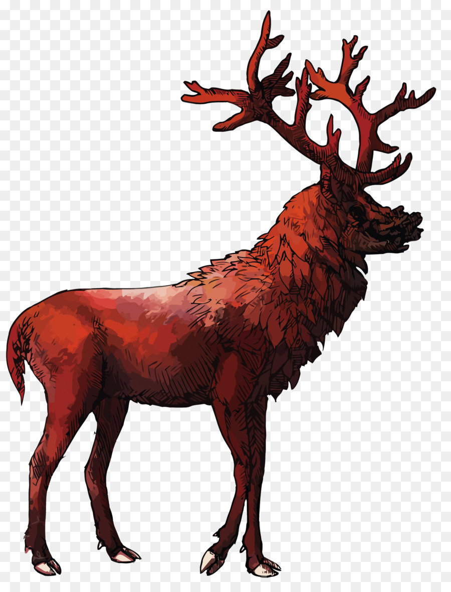 900x1180 Reindeer Red Deer Elk Antler