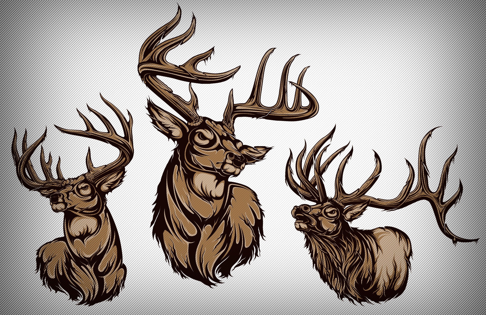 2000x1300 Vector Graphics