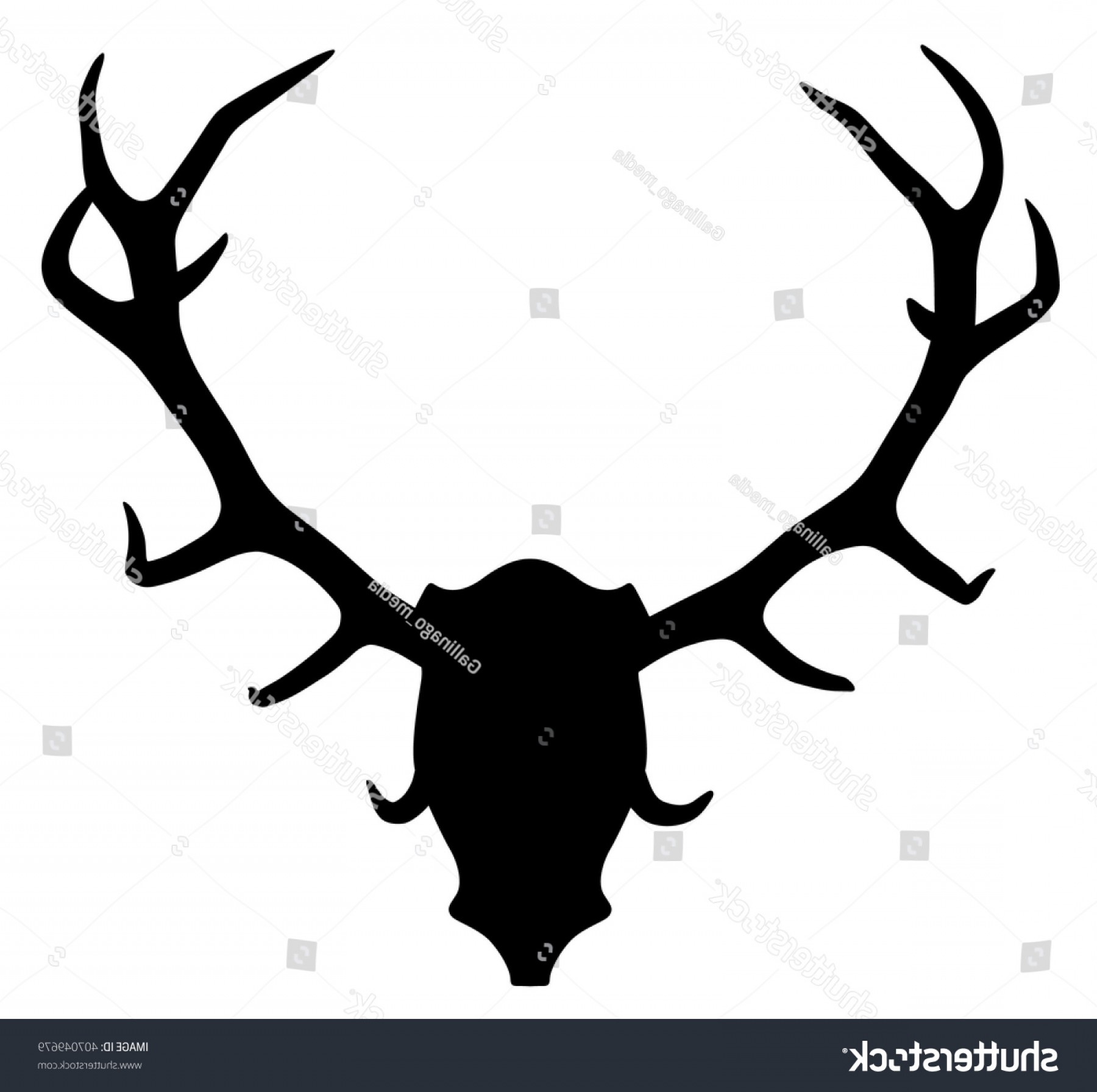 1800x1792 Vector Silhouette Deer Elk Trophy Antlers Arenawp