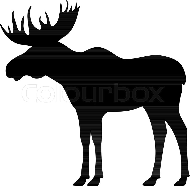 800x782 Vector Illustration Of A Black Silhouette Of An Elk. Isolated