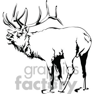 300x300 Elk Clip Art, Photos, Vector Clipart, Royalty Free Images
