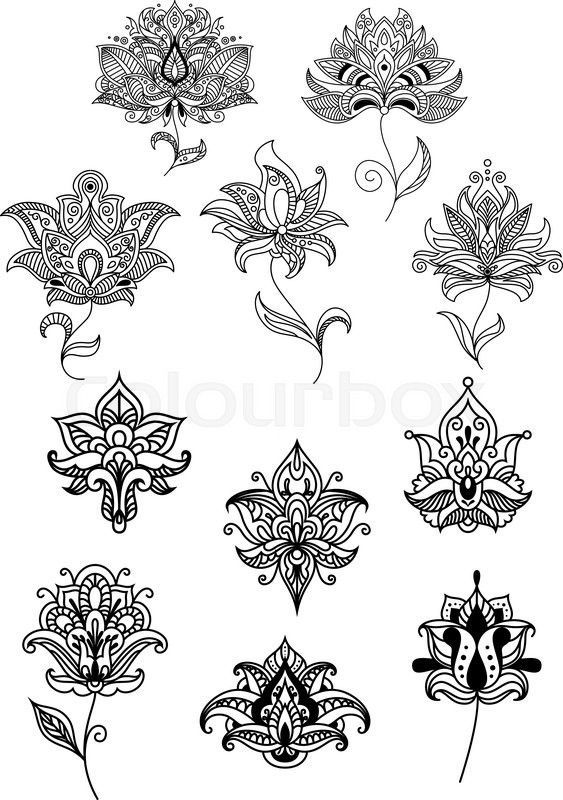 563x800 Persian And Indian Stylized Paisley Flowers In Outline Style