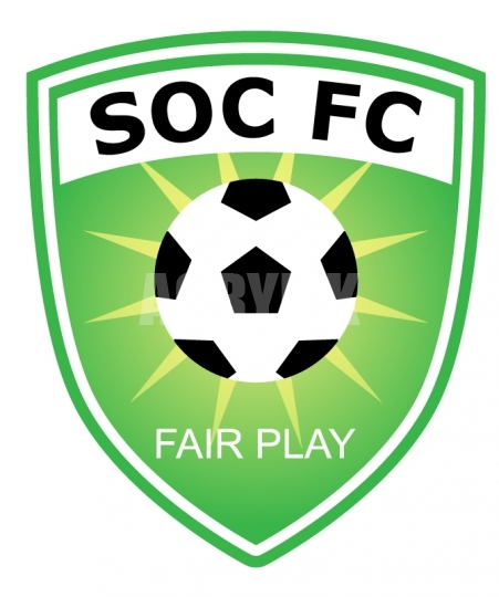 451x540 Green Soccer Shield Emblem Vector