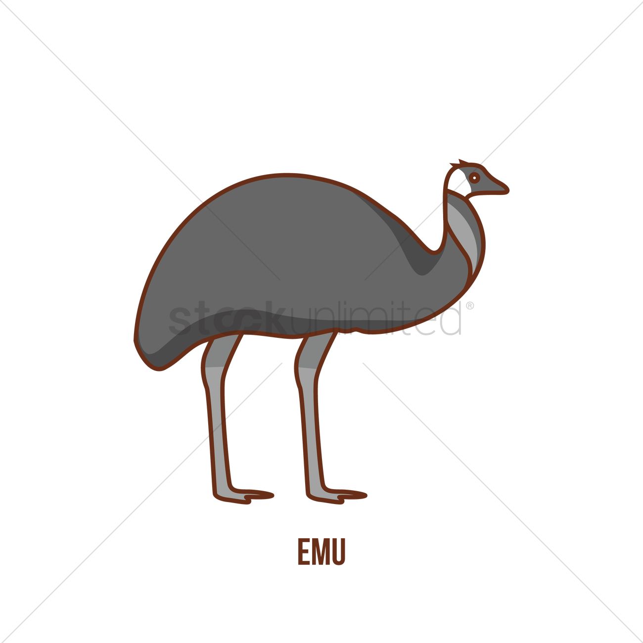 1300x1300 Emu Vector Image