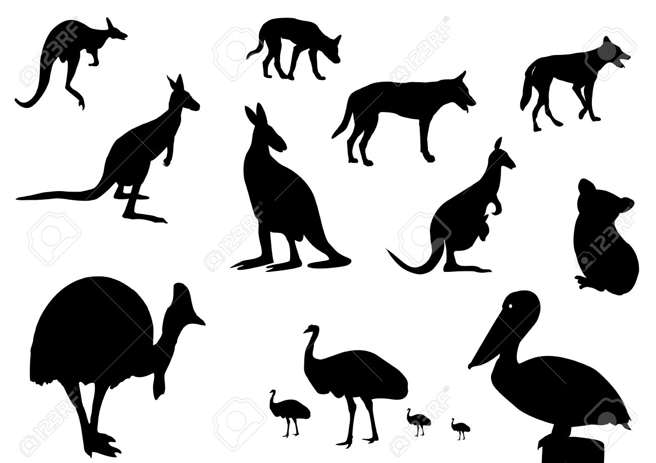1300x918 Emu Clipart Australian Animal