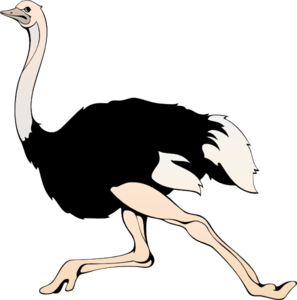 297x300 Running Ostrich Clip Art