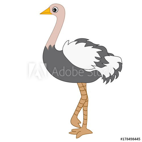 500x500 Vector Cute Cartoon Emu
