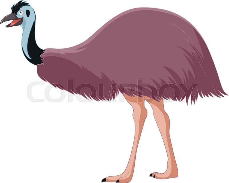 800x638 Vector Image Of The Cartoon Smiling Emu Stock Vector Colourbox