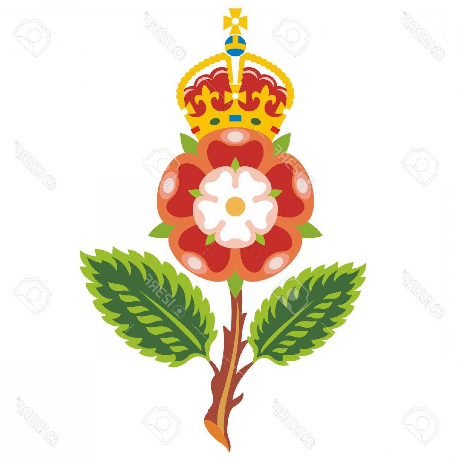 1560x1560 Phototudor Rose Royal Badge Of England Vector Shopatcloth