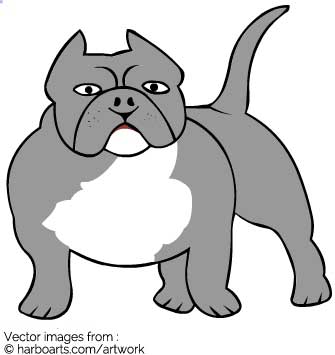 335x355 Download English Bulldog