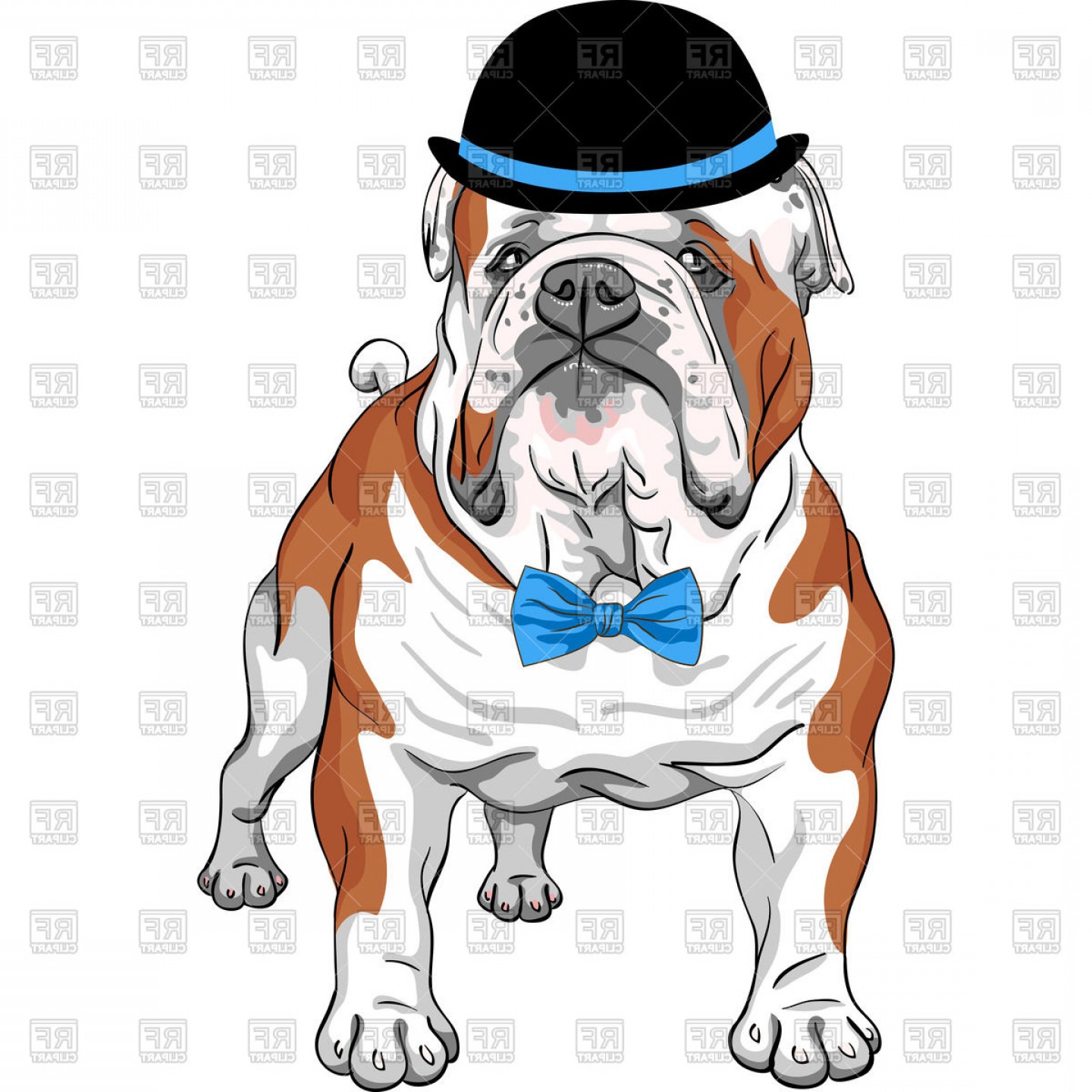 1440x1440 English Bulldog Breed In Hat And Bow Tie Vector Clipart Shopatcloth