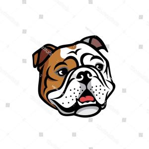 300x300 English Bulldog Face Isolated Vector Illustration Orangiausa