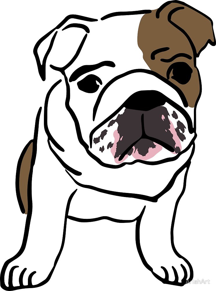 743x1000 English Bulldog Vector Illustration By Ariahart Redbubble