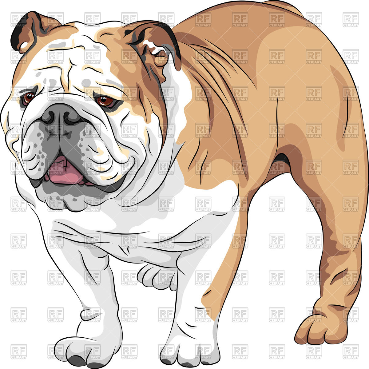 1200x1200 English Bulldog Vector Image Vector Artwork Of Plants And