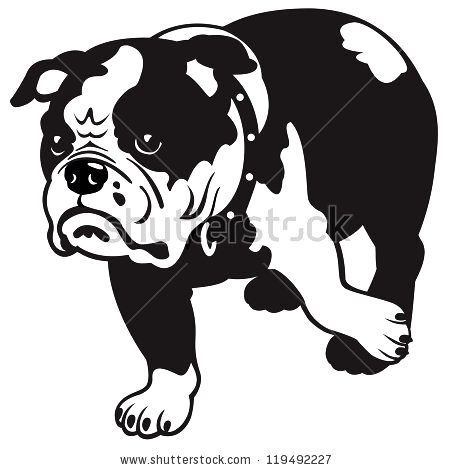 450x470 English Bulldog Vector Photo