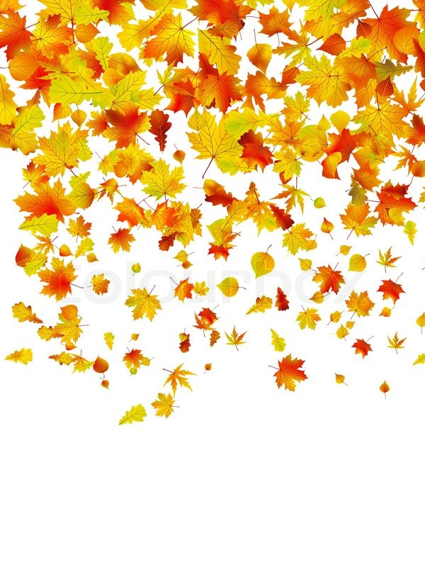 600x800 Background Of Autumn Leaves. Eps 8 Vector File Included Stock