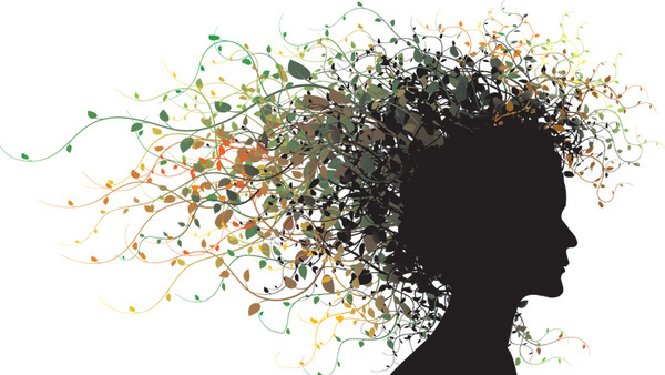 600x338 Border Eps File Free Vector Download (183,366 Free Vector) For