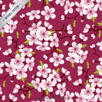 200x200 Cherry Blossom Vector Free Download Free Vector Graphic Art Free