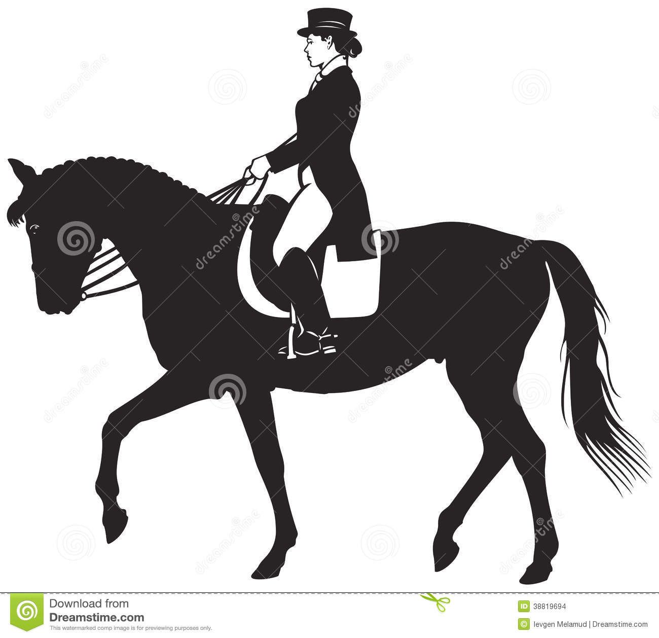 1300x1258 Equestrian Horse Horse