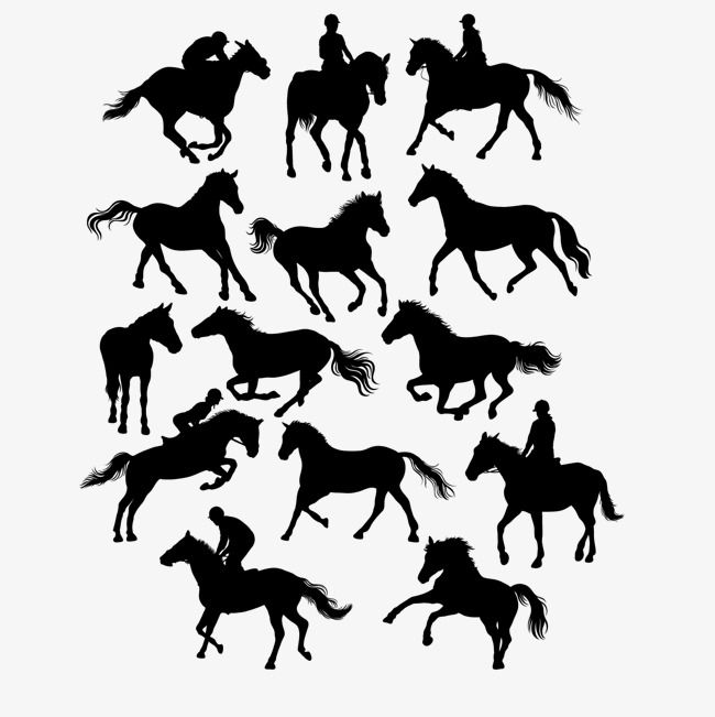 650x651 Horse Riding,black,horse,equestrian,vector Diagram,creative Vector