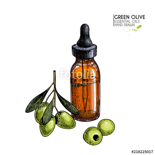 500x500 Hand Drawn Set Of Essential Oils. Vector Olive Oil And Branch
