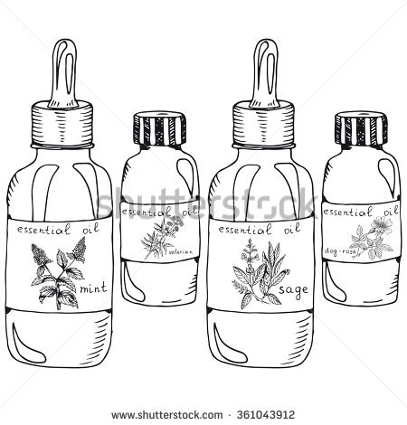 450x470 Collection Of Essential Oils Drawing High Quality, Free