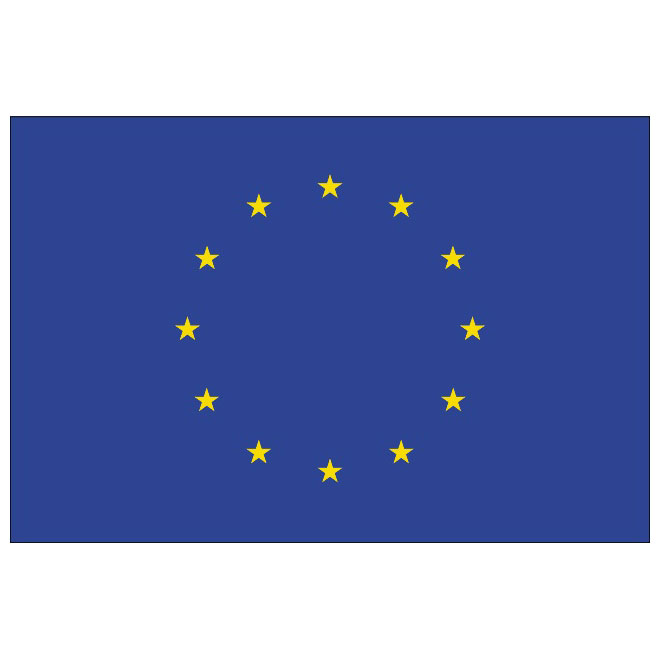 660x660 European Flag Vector