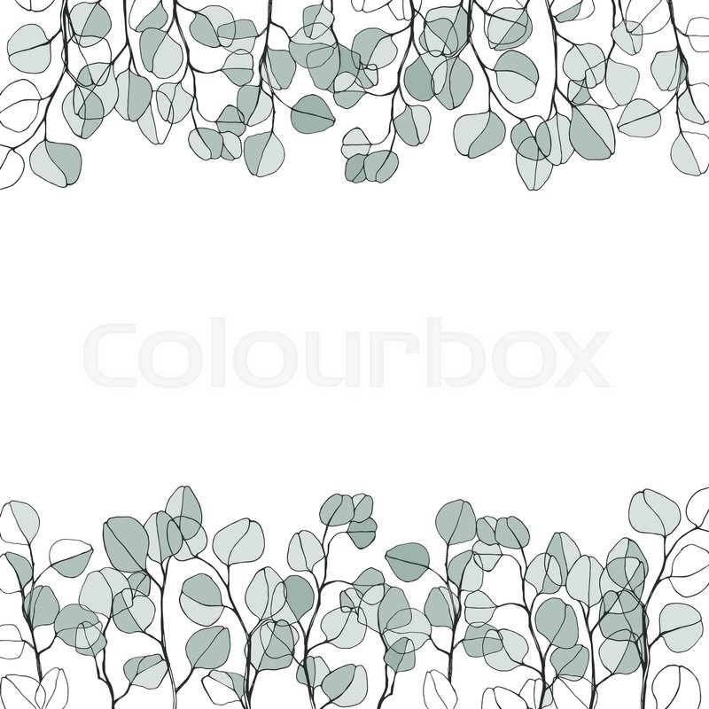 800x800 Floral Background With Hand Drawn Branches Of Silver Eucalyptus