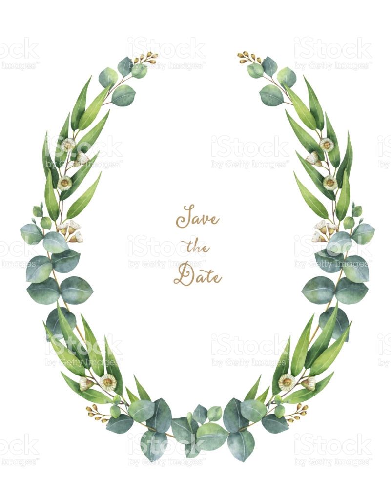 801x1024 Image Result For Eucalyptus Vector Watercolor Dream Came True